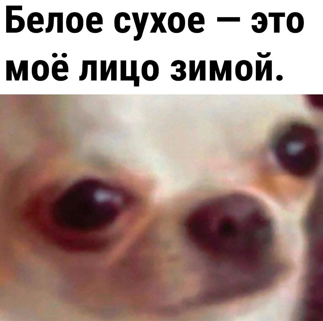 ��� ������ ����� �������� ����