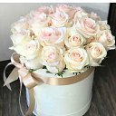 ���� �����, �������, 35 ��� - ��������� 8 ������ 2026 � ������ ���� ����������