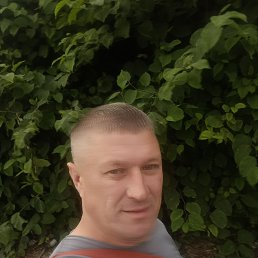 , 35, 