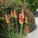 ���� �������, ������, 71 ��� - ��������� 28 ��� 2024 � ������ ���� ����������