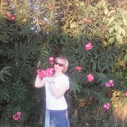 ������, ����������, 45 ���