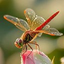 ���� ���������, ������, 67 ��� - ��������� 29 ������ 2026 � ������ ������ ��������