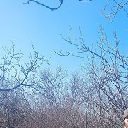 �������, 29 ���, �����������