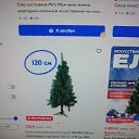 ���� ���������, ������, 54 ���� - ��������� 19 ������� 2023 � ������ ���� ����������