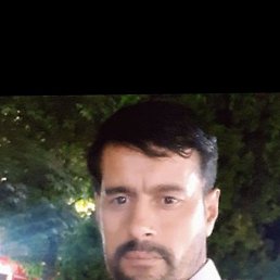 , 40, 