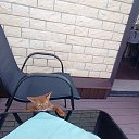 ���� �������, ��������� - ��������� 7 ���� 2026 � ������ ������ ��������