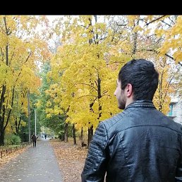 �����, �����-���������, 50 ���