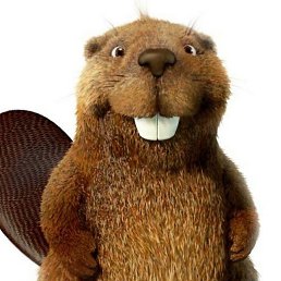 Bob, ������, 44 ����