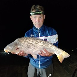 ����, ��������, 58 ���