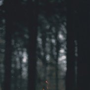 ����, 38 ���, ������