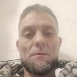 �����, ����, 44 ����