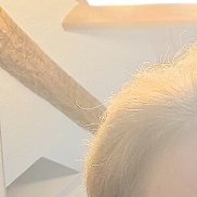 ����, 38 ���, ������