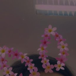 ������, ������, 18 ���