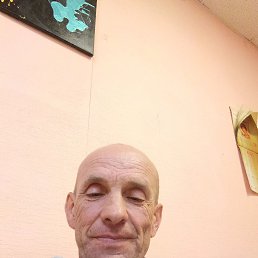 , 54 , 