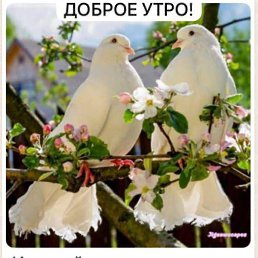 ���� ������ ��������, �����-���������, 59 ��� - ��������� 3 ���� 2024