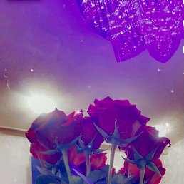 ���� ����, �����-���������, 43 ���� - ��������� 2 ������� 2025