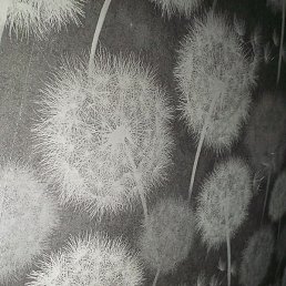 ������, �����������, 27 ���