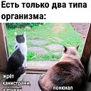  ,  -  31  2025    