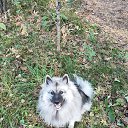 ���� �����, �����������, 45 ��� - ��������� 14 ������ 2025 � ������ ������ ��������