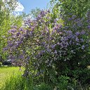 ���� �������, ������, 20 ��� - ��������� 16 ��� 2025 � ������ ���� ����������