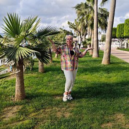 ���������, �����������, 56 ���