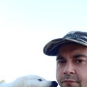  ,  , 40  -  12  2024    