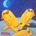 ���� ����, ������ - ��������� 31 ������� 2024 � ������ ������ ��������