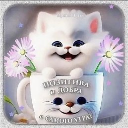 ���� ��������, ��������, 52 ���� - ��������� 10 ������� 2026