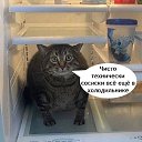 ���� ���������, ������, 58 ��� - ��������� 21 ������ 2025 � ������ ������ ��������