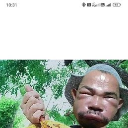 ���� �������, �����������, 54 ���� - ��������� 12 ������� 2026
