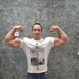 ���� �����, �����������, 33 ���� - ��������� 11 ���� 2026