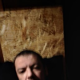 ���� ������, �����-���������, 41 ��� - ��������� 29 ������ 2026