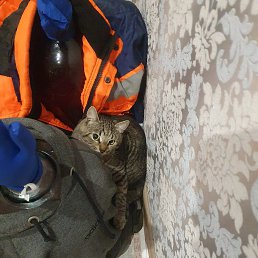 ���� �������, ����, 62 ���� - ��������� 1 ������� 2024