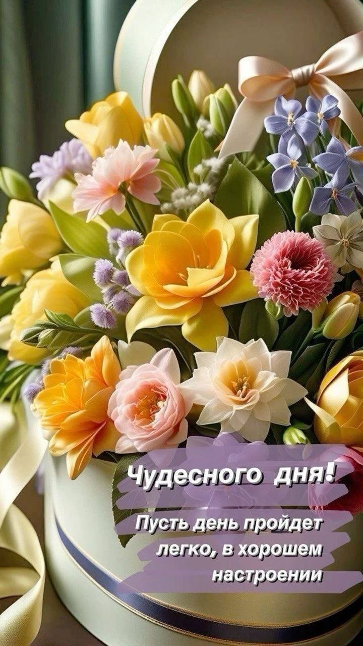 ������� �������� - 17 ����� 2025 � 15:41