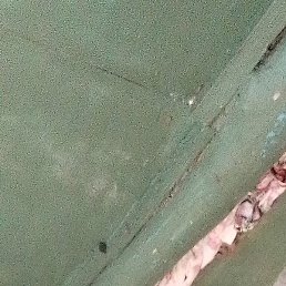 �����, �����������, 48 ���