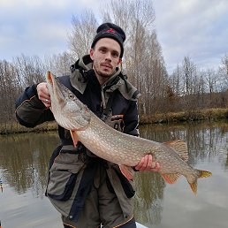 , 23 , 