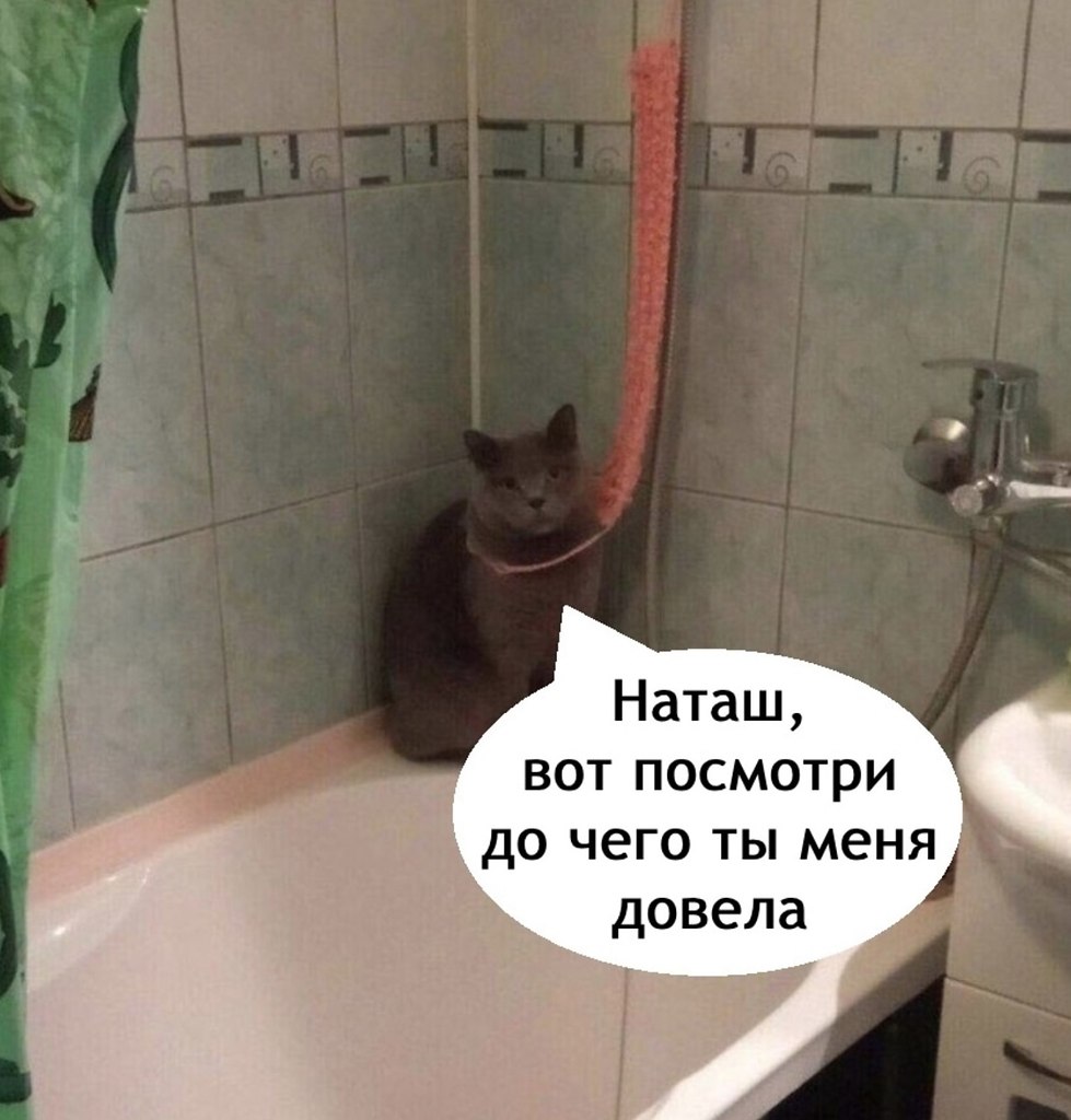    , ?