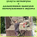 ���� ��������, ������-��-����, 38 ��� - ��������� 17 ������� 2026 � ������ ������ ��������
