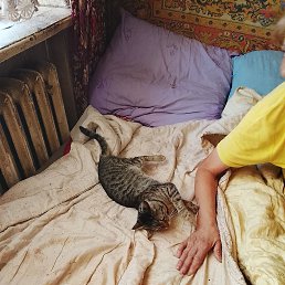 ���� ����, ������, 48 ��� - ��������� 26 ���� 2025