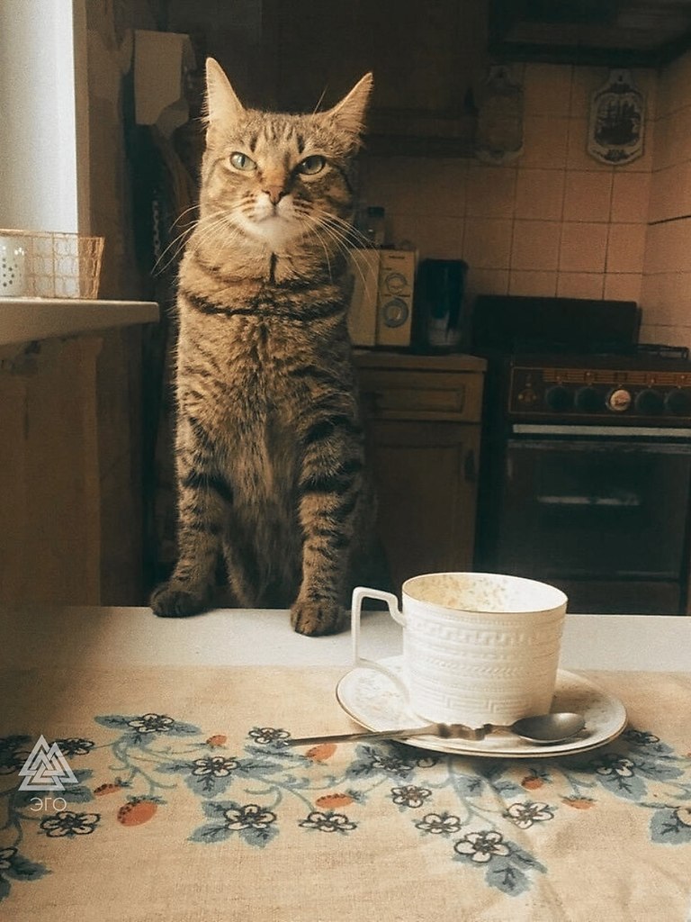    .     ! - 2