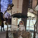 ���� �����, ������ �������� - ��������� 8 �������� 2026 � ������ ���� ����������