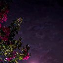 ���� ������, ������ - ��������� 14 ���� 2025 � ������ ������ ��������