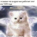 ���� Max, �������, 29 ��� - ��������� 25 ���� 2025 � ������ ���� ����������