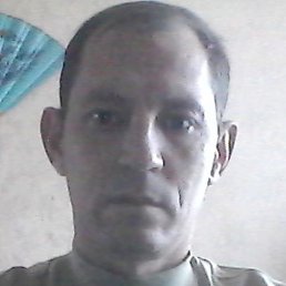 ������, �������, 49 ���