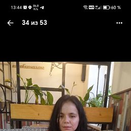 , 37, 