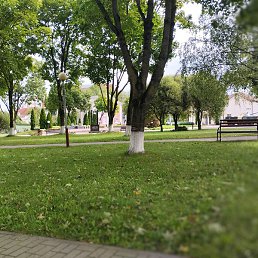 ����, �����, 66 ���