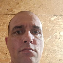 ����, 40 ���, ���������