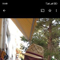 �����, ����, 56 ���