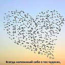 ���� �������, ���� - ��������� 14 ������� 2025 � ������ ������ ��������