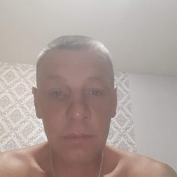 �����, 45 ���, ���������